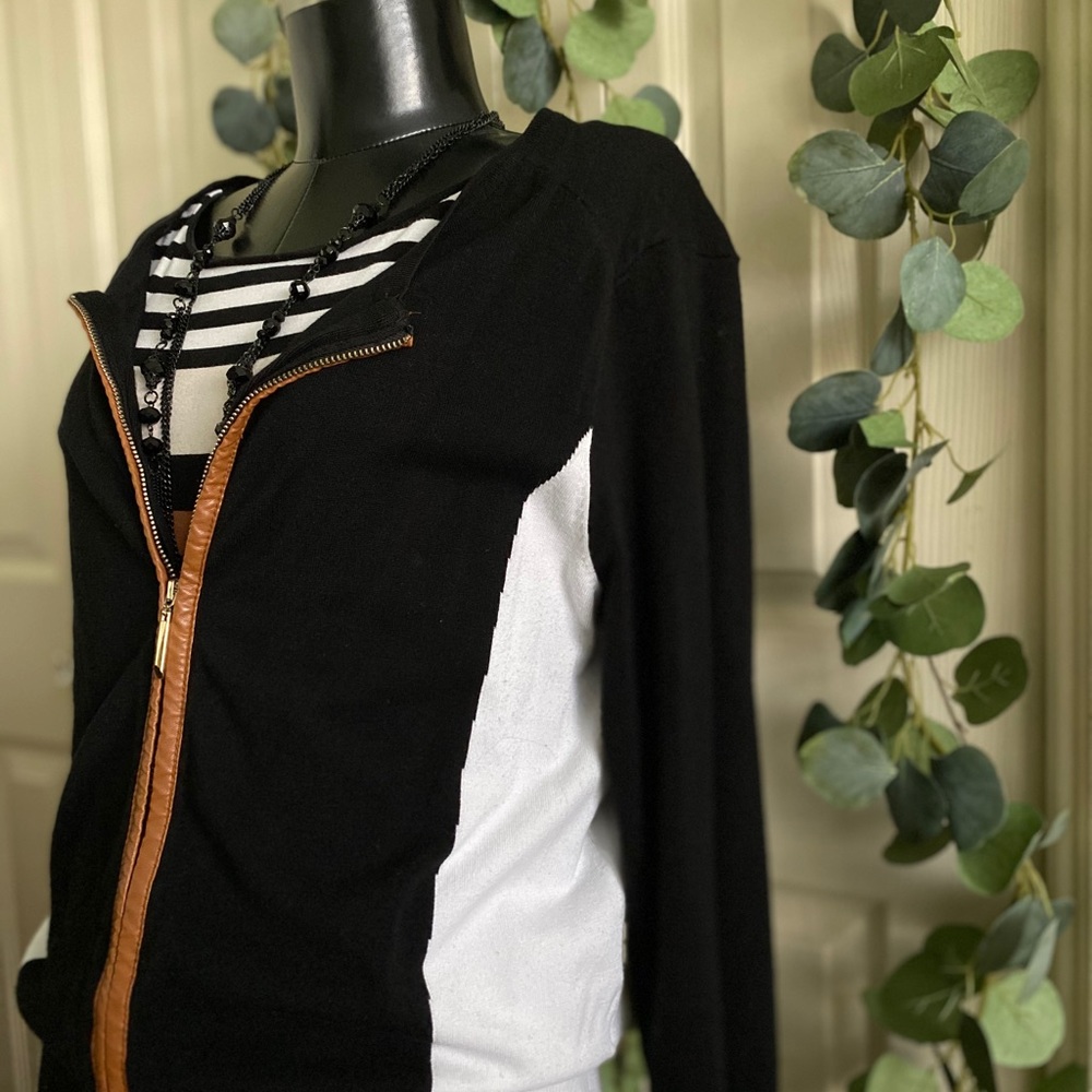 Professional Pencil Dress With Shell - Picture 3 of 12